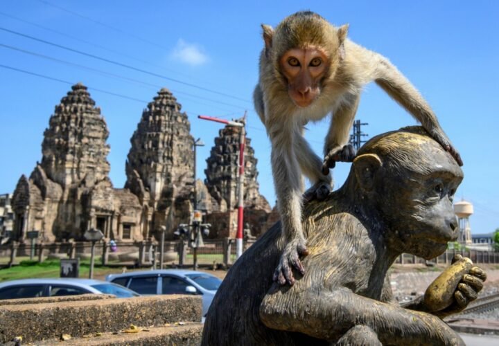 templo-dos-macacos-tailandia